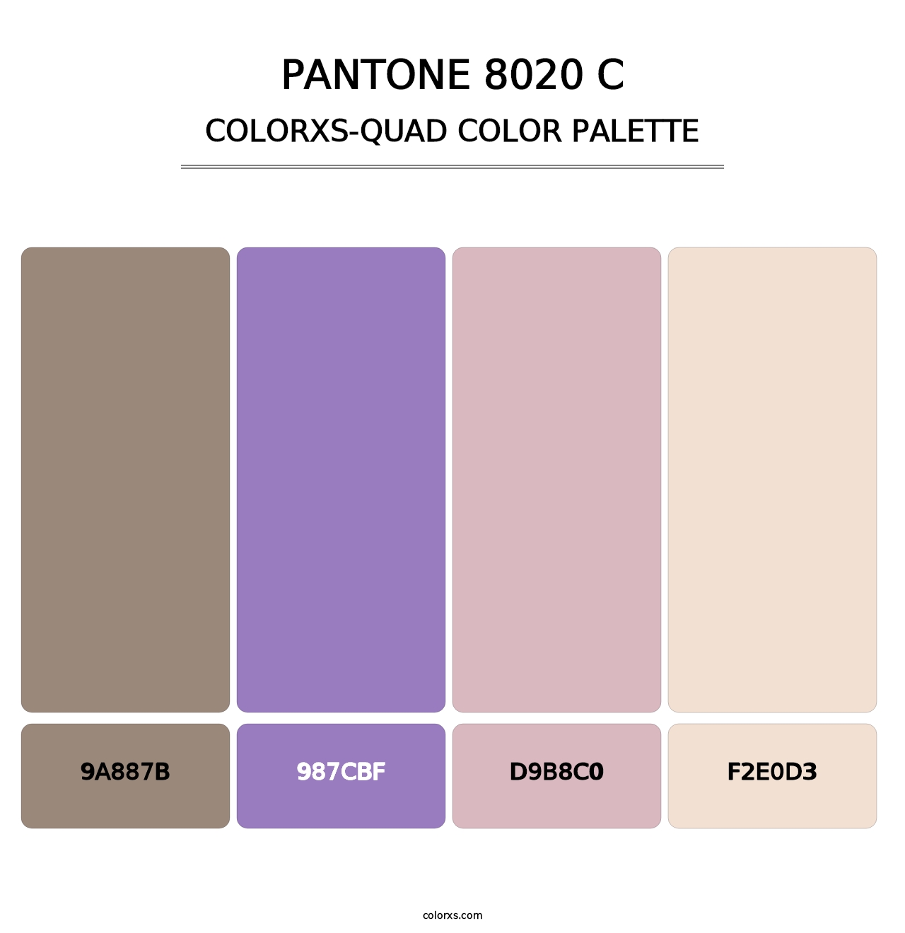 PANTONE 8020 C - Colorxs Quad Palette