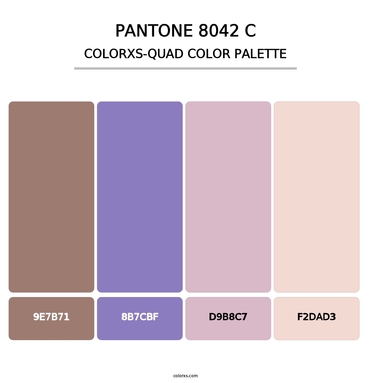 PANTONE 8042 C - Colorxs Quad Palette