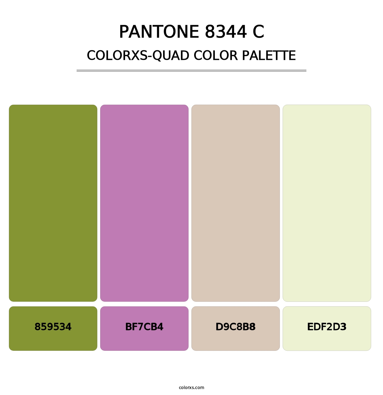 PANTONE 8344 C - Colorxs Quad Palette