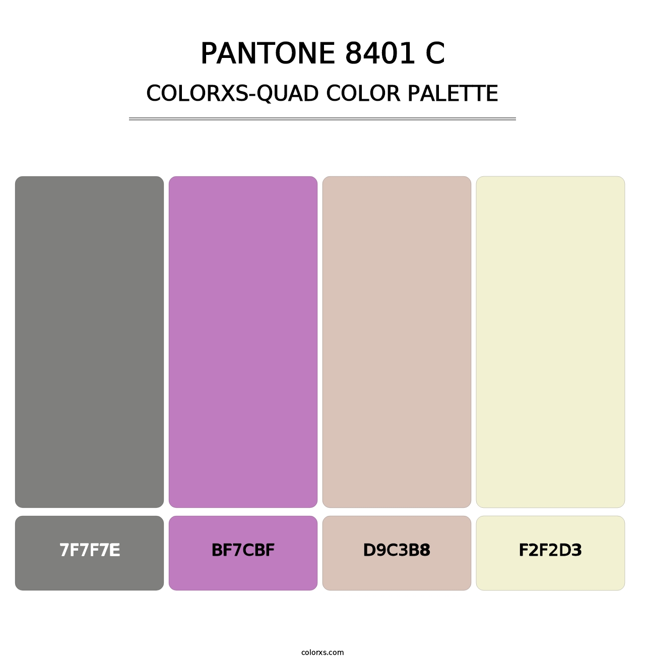PANTONE 8401 C - Colorxs Quad Palette