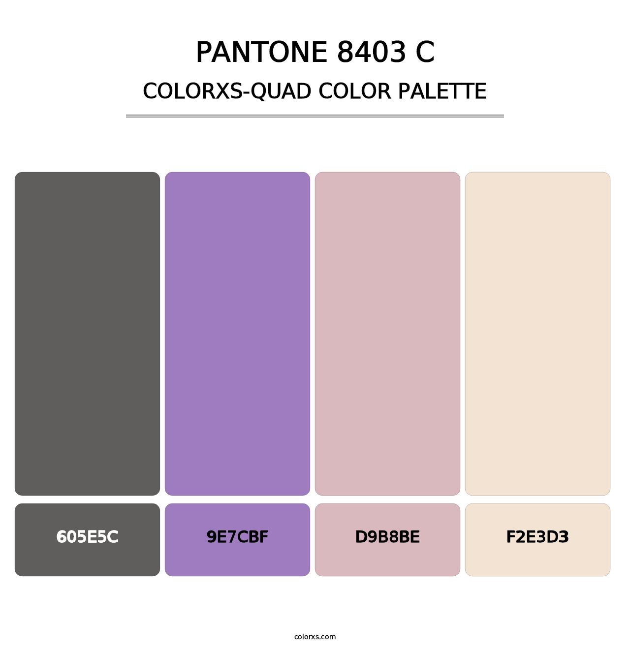 PANTONE 8403 C - Colorxs Quad Palette