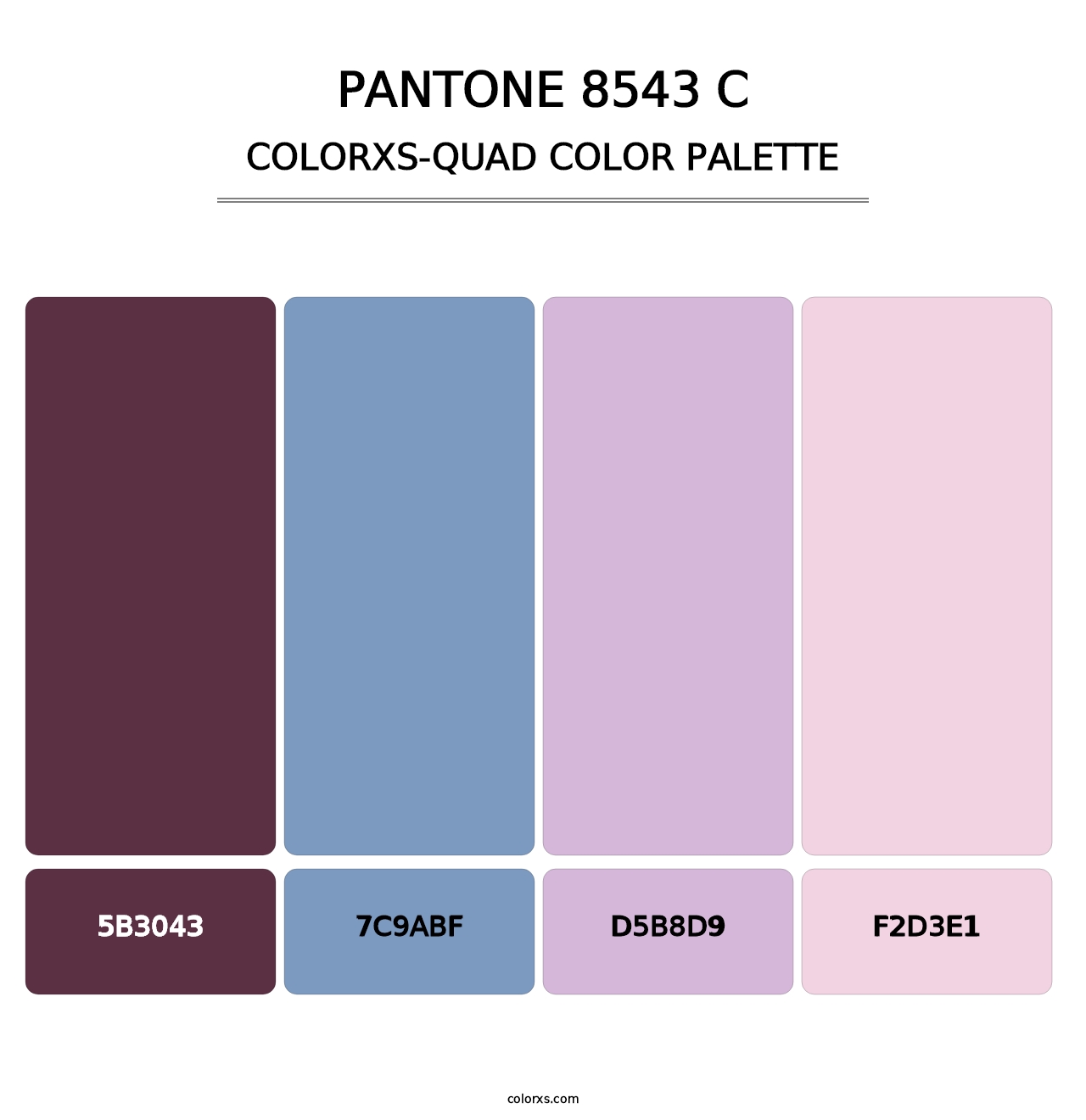 PANTONE 8543 C - Colorxs Quad Palette