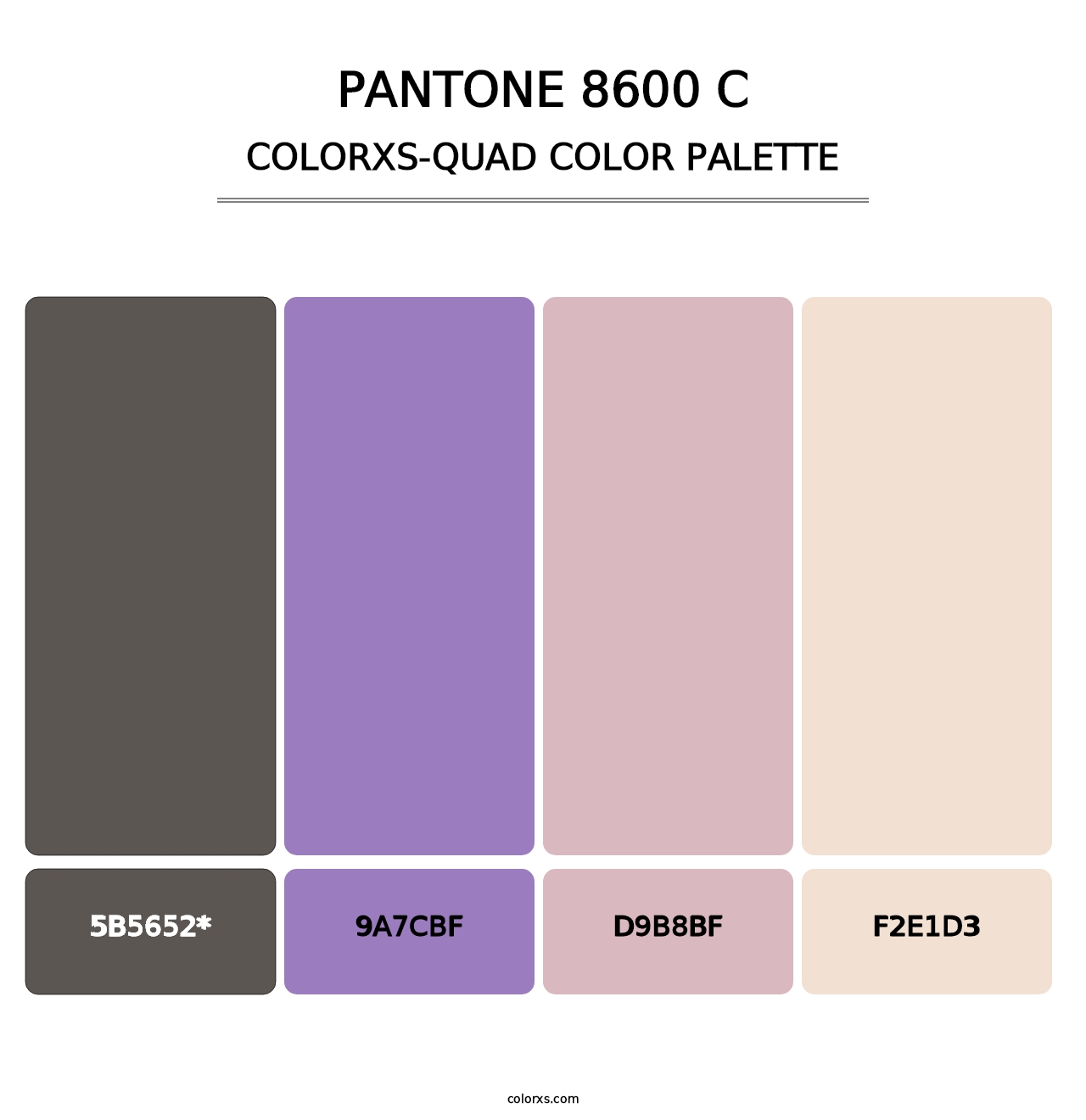 PANTONE 8600 C - Colorxs Quad Palette