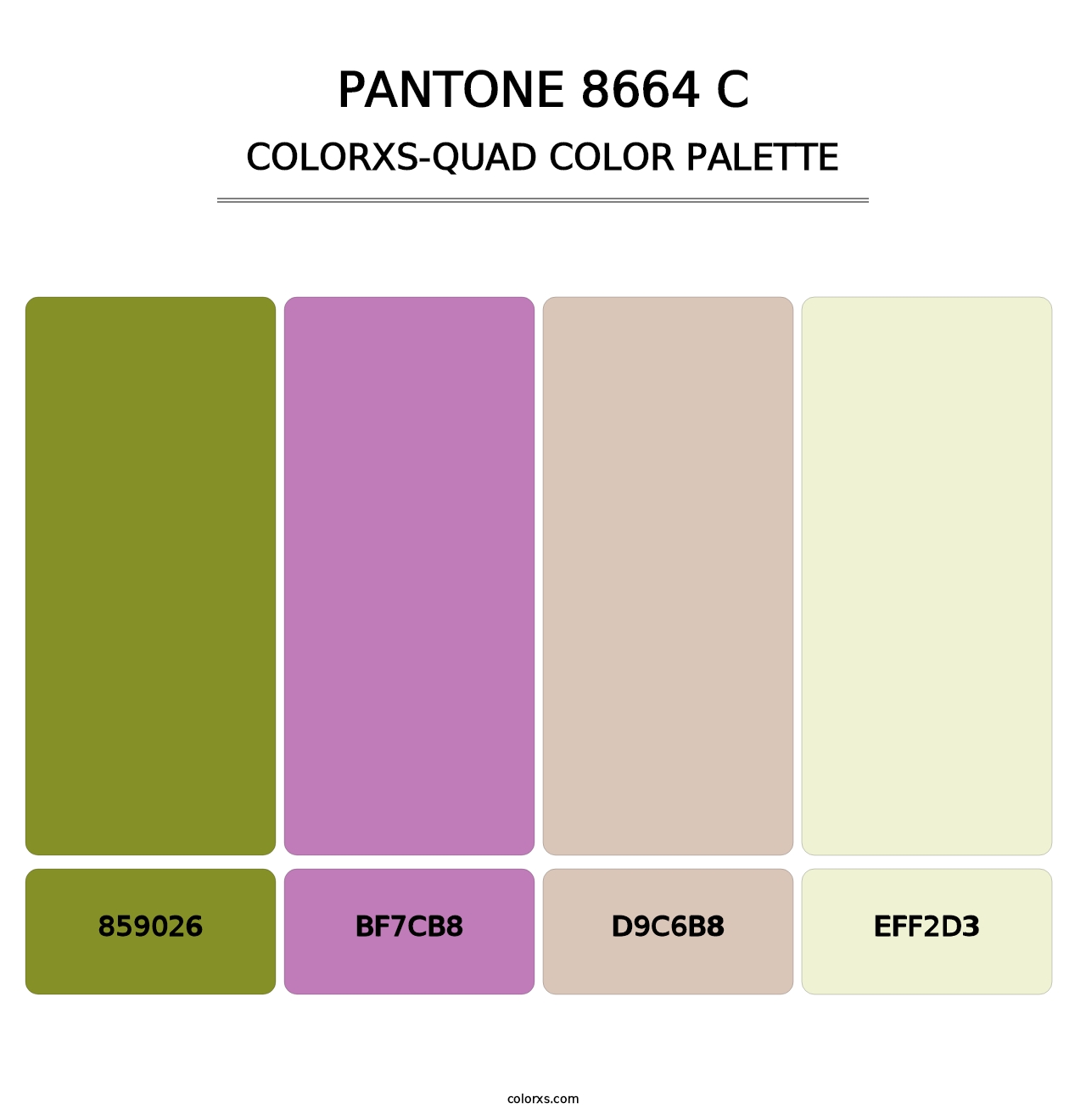 PANTONE 8664 C - Colorxs Quad Palette