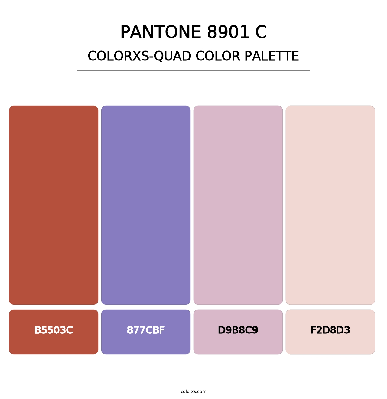 PANTONE 8901 C - Colorxs Quad Palette