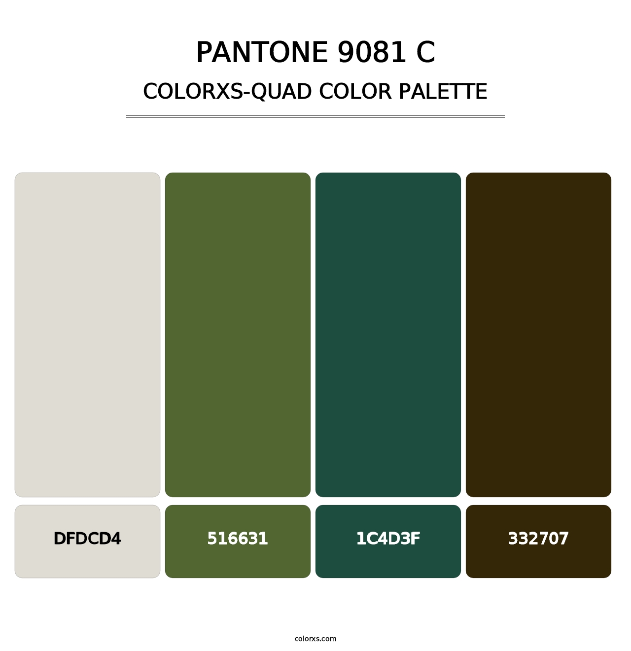 PANTONE 9081 C - Colorxs Quad Palette