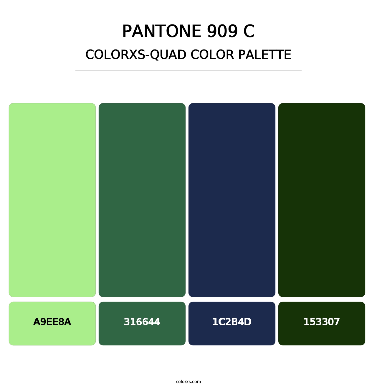 PANTONE 909 C - Colorxs Quad Palette