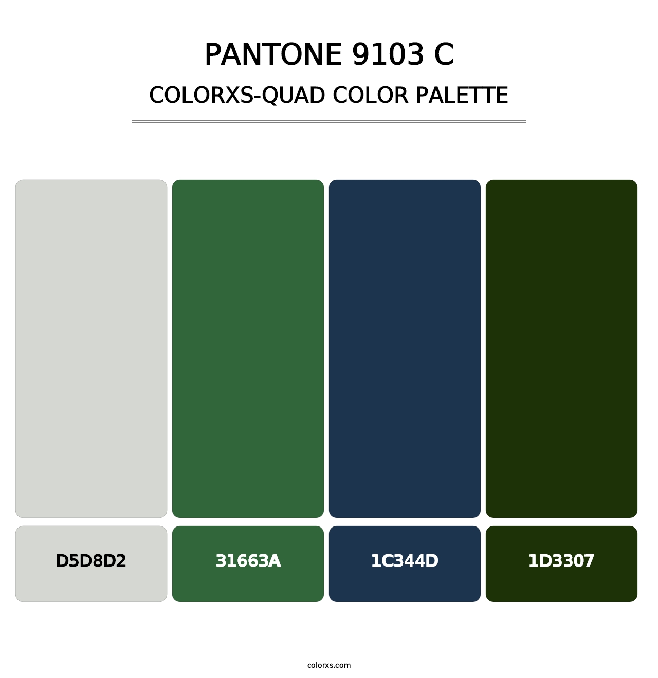 PANTONE 9103 C - Colorxs Quad Palette