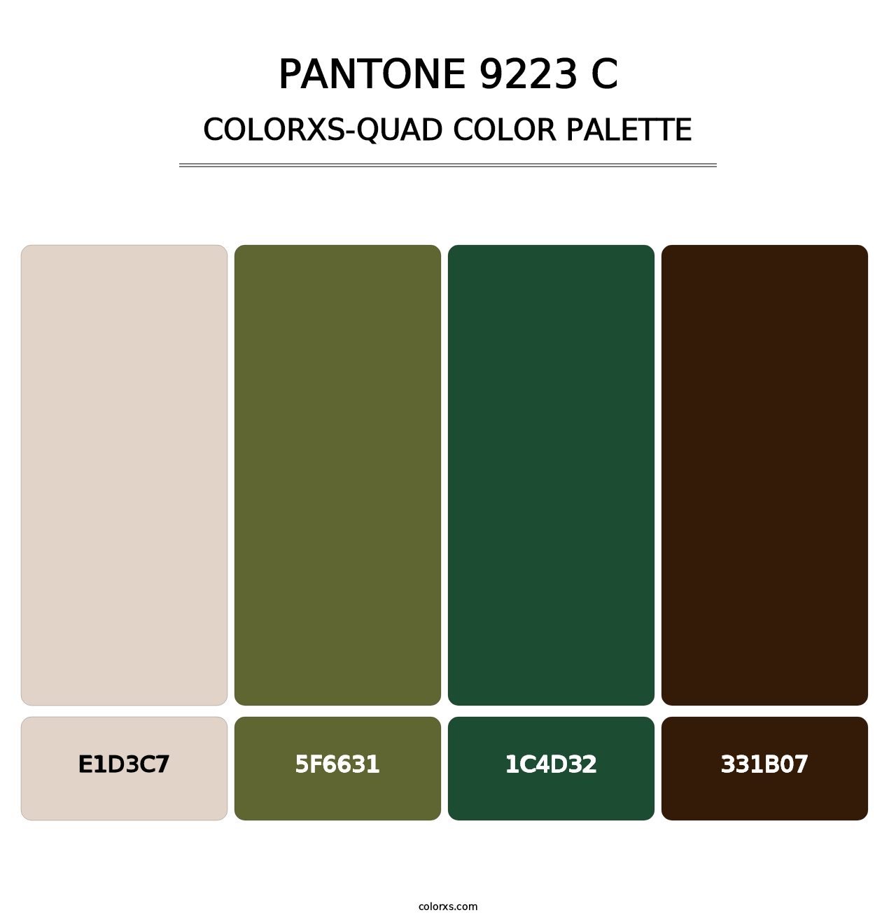 PANTONE 9223 C - Colorxs Quad Palette