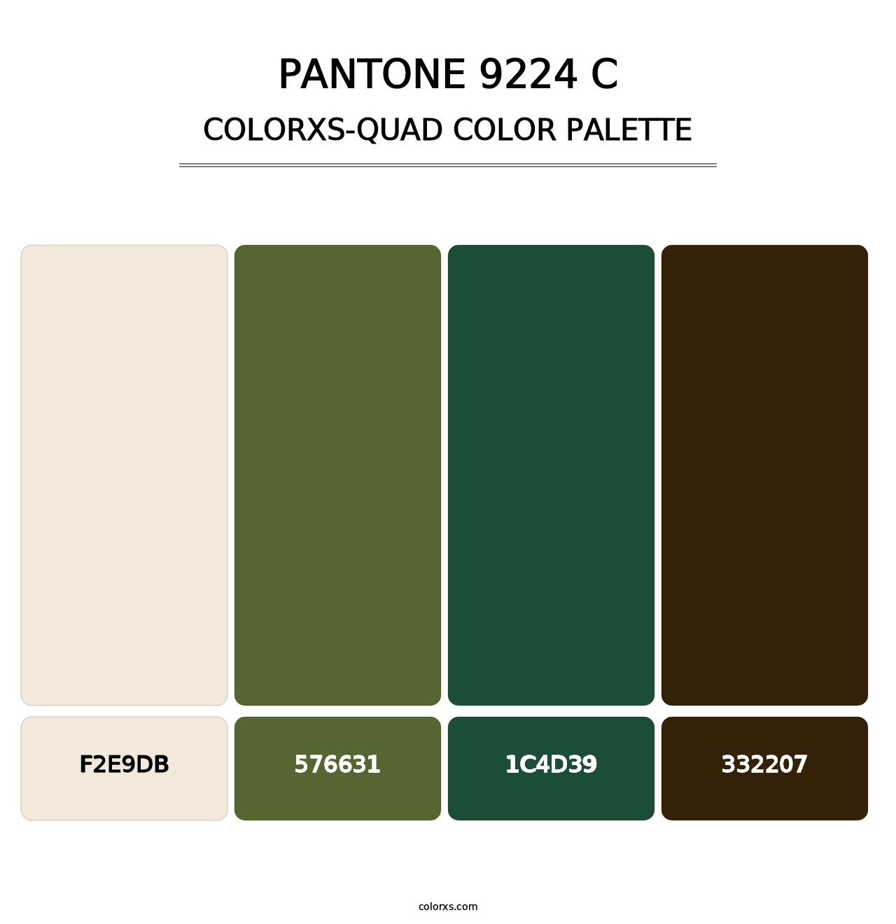 PANTONE 9224 C - Colorxs Quad Palette