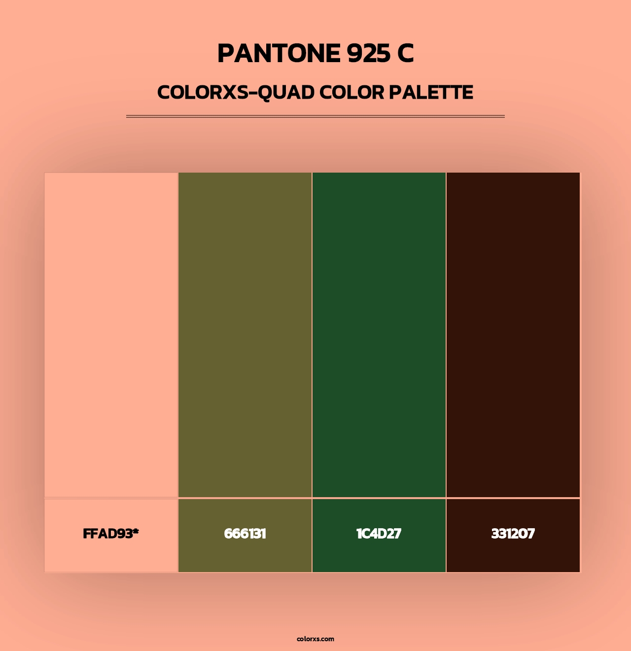 PANTONE 925 C - Colorxs Quad Palette