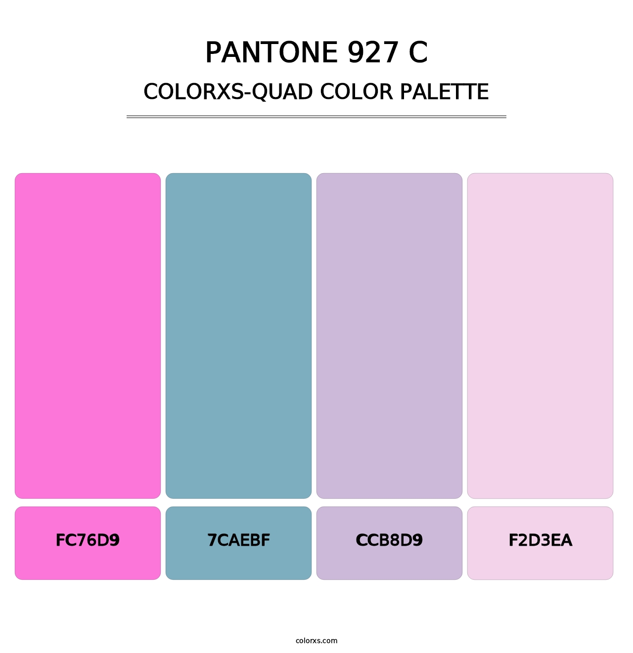 PANTONE 927 C - Colorxs Quad Palette