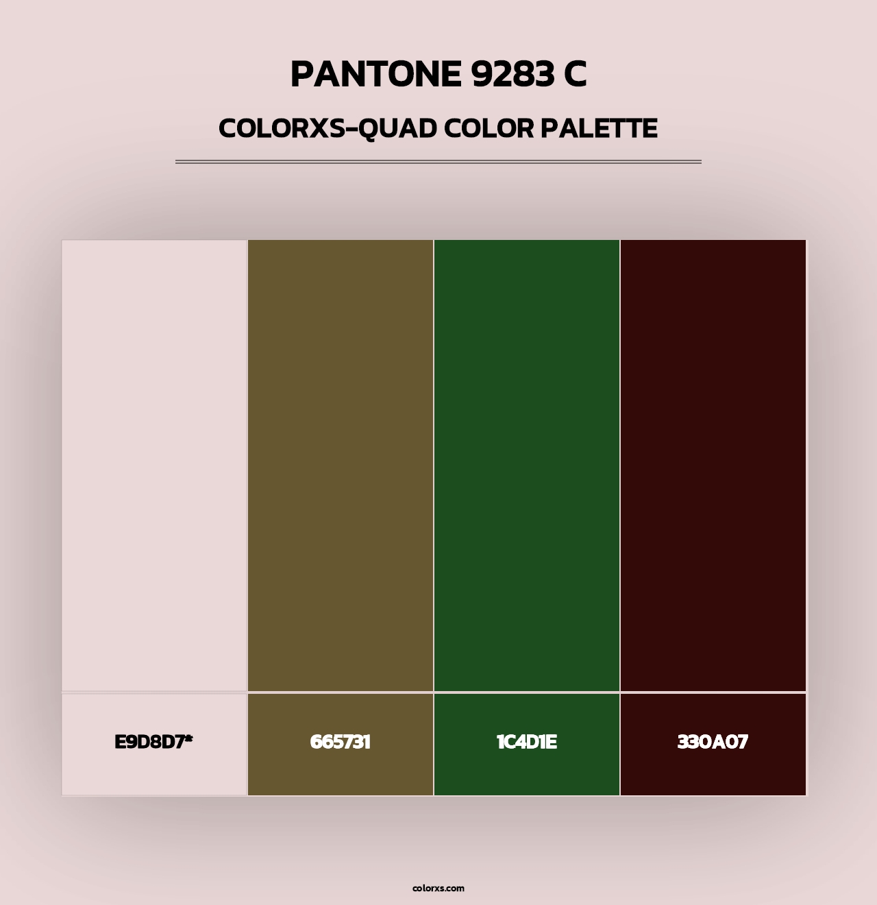 PANTONE 9283 C - Colorxs Quad Palette