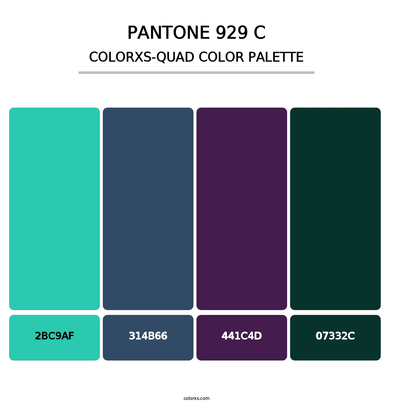 PANTONE 929 C - Colorxs Quad Palette