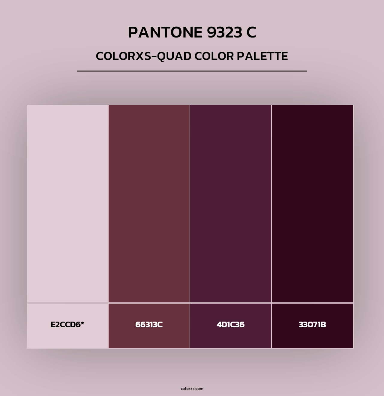PANTONE 9323 C - Colorxs Quad Palette