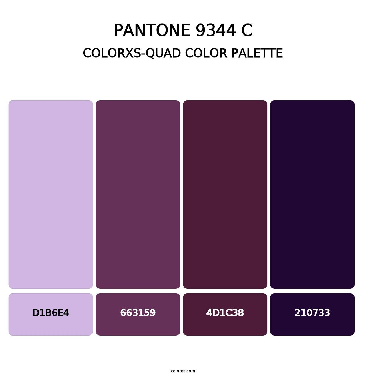PANTONE 9344 C - Colorxs Quad Palette