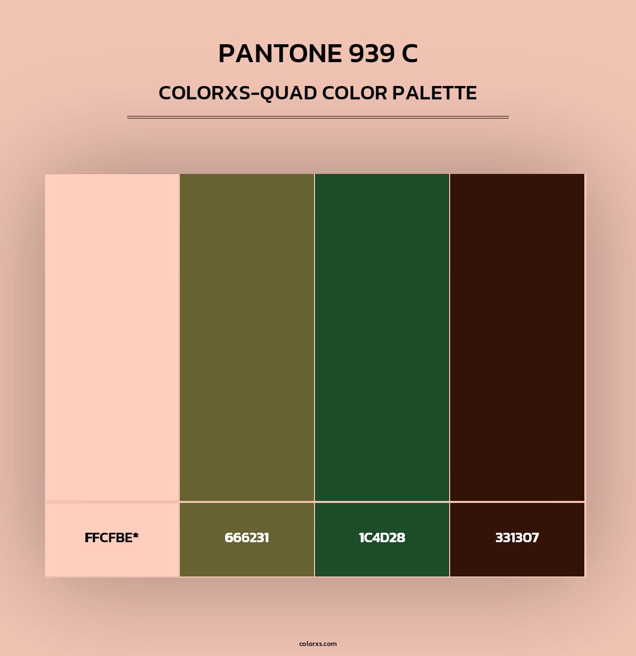 PANTONE 939 C - Colorxs Quad Palette