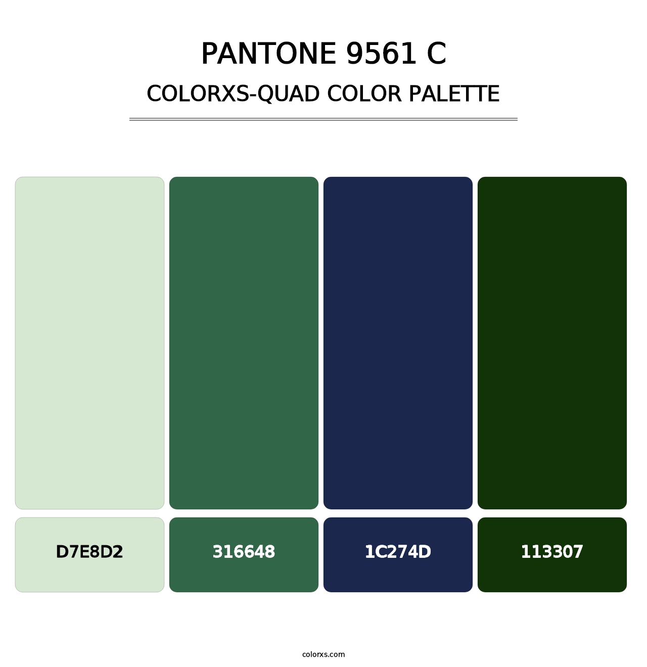 PANTONE 9561 C - Colorxs Quad Palette