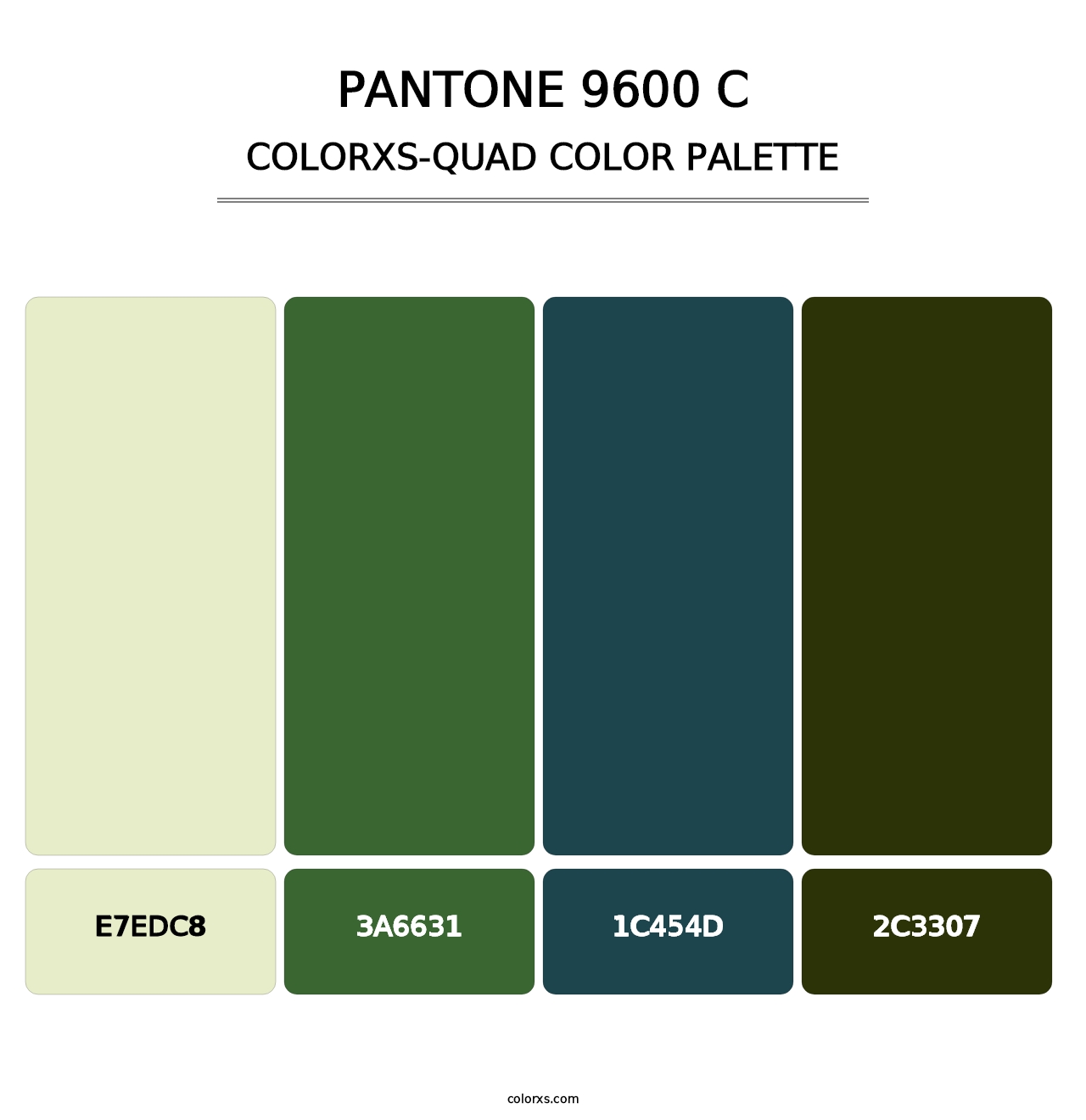 PANTONE 9600 C - Colorxs Quad Palette