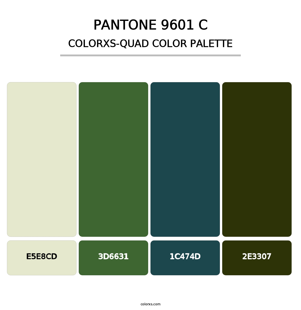 PANTONE 9601 C - Colorxs Quad Palette