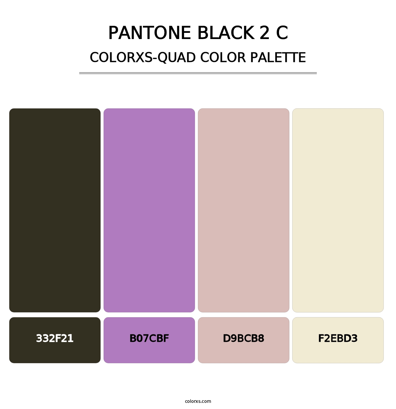 PANTONE Black 2 C - Colorxs Quad Palette