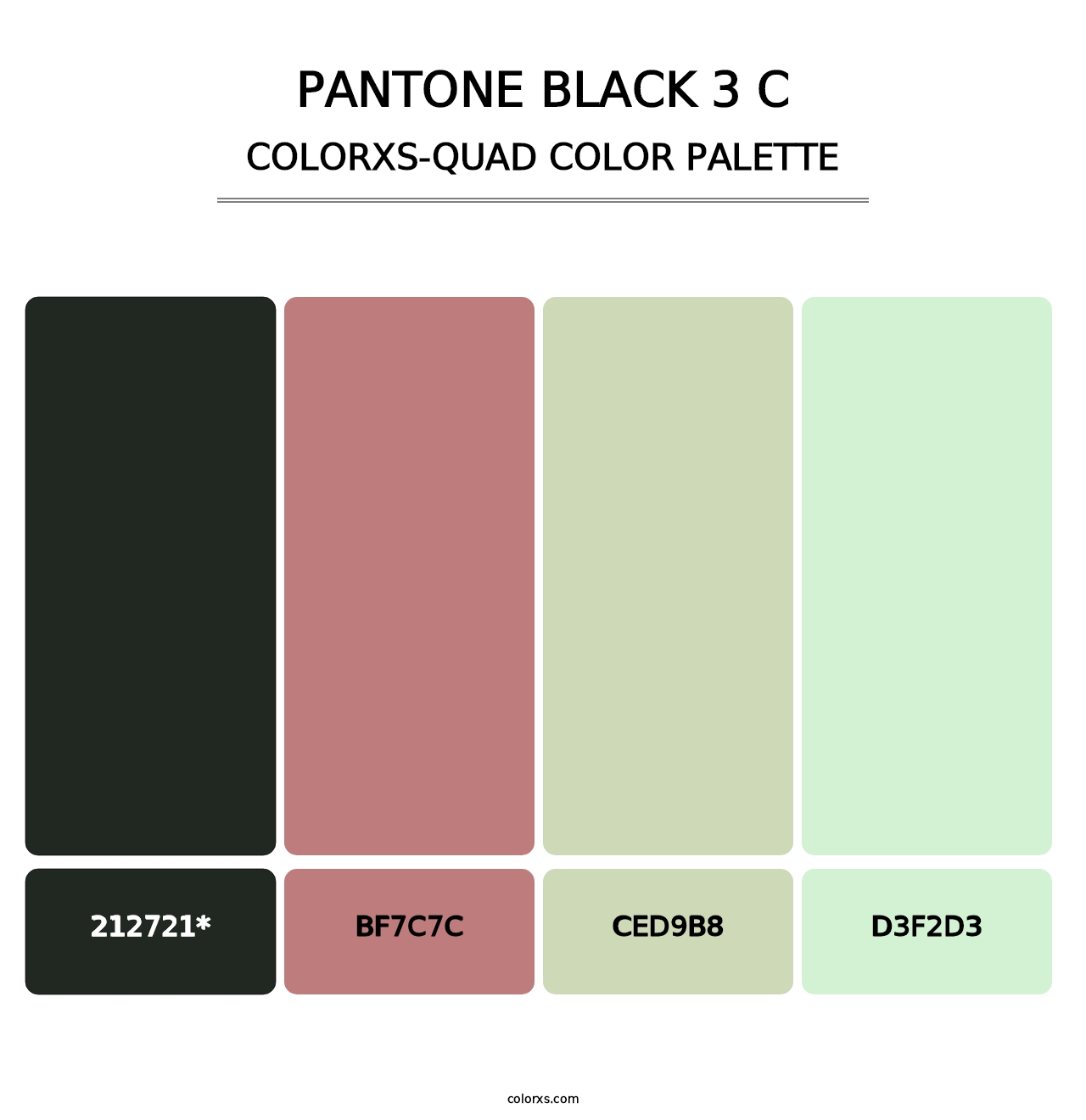 PANTONE Black 3 C - Colorxs Quad Palette