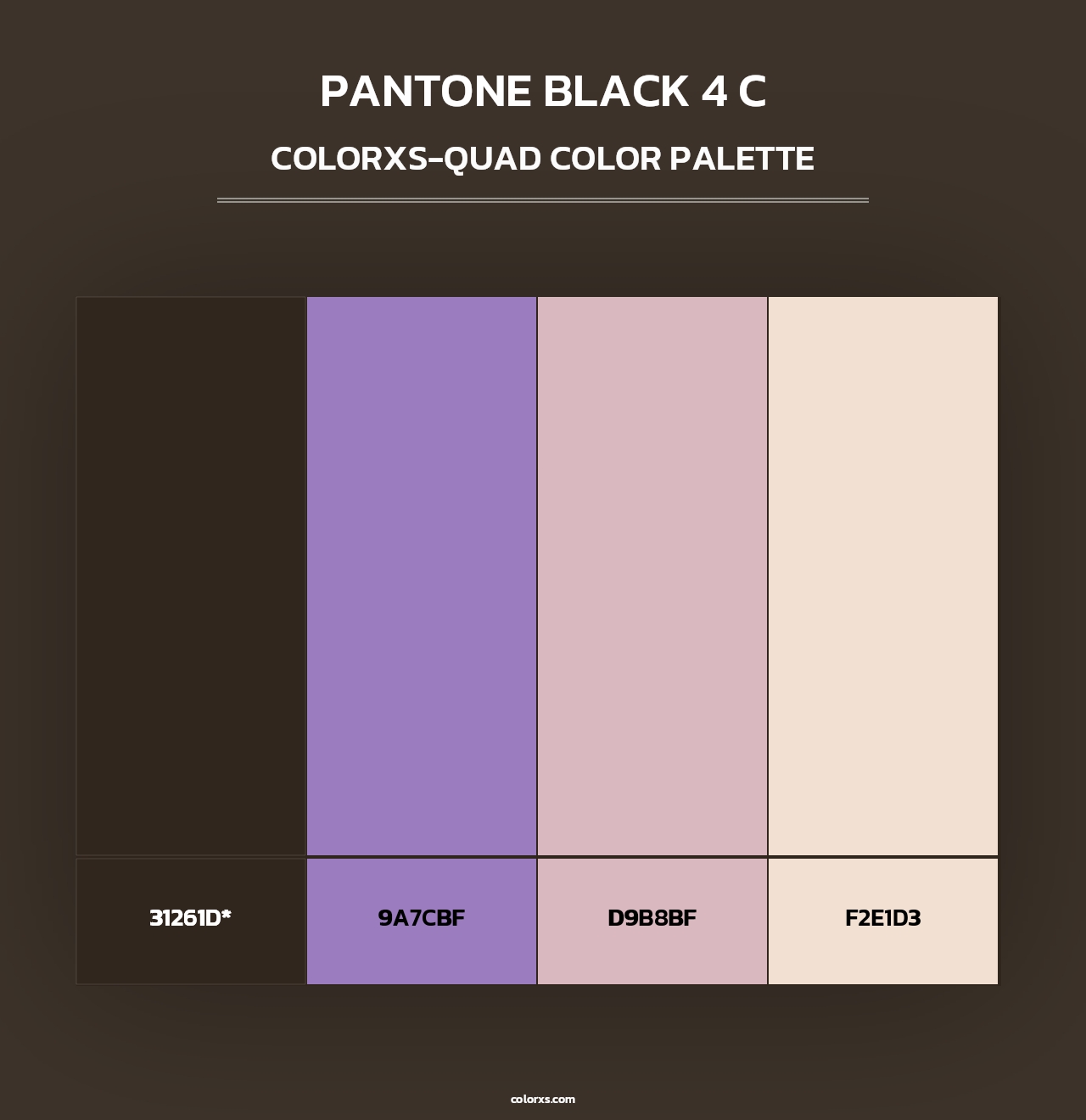 PANTONE Black 4 C - Colorxs Quad Palette