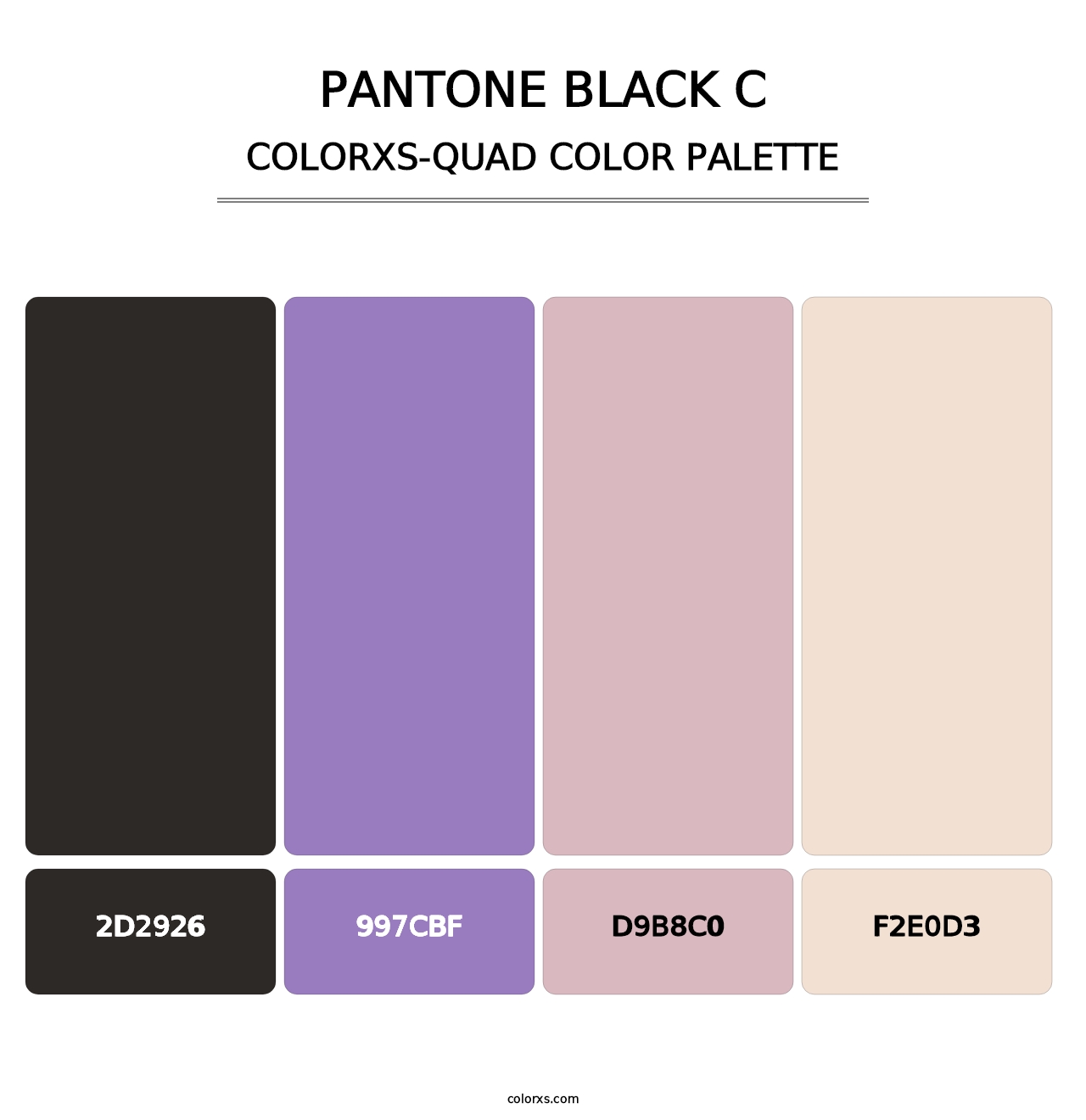 PANTONE Black C - Colorxs Quad Palette