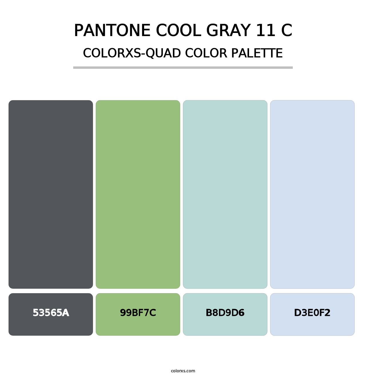 PANTONE Cool Gray 11 C - Colorxs Quad Palette
