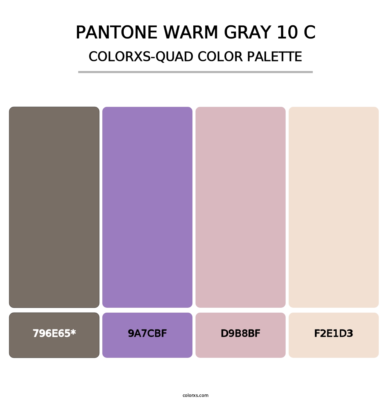 PANTONE Warm Gray 10 C - Colorxs Quad Palette