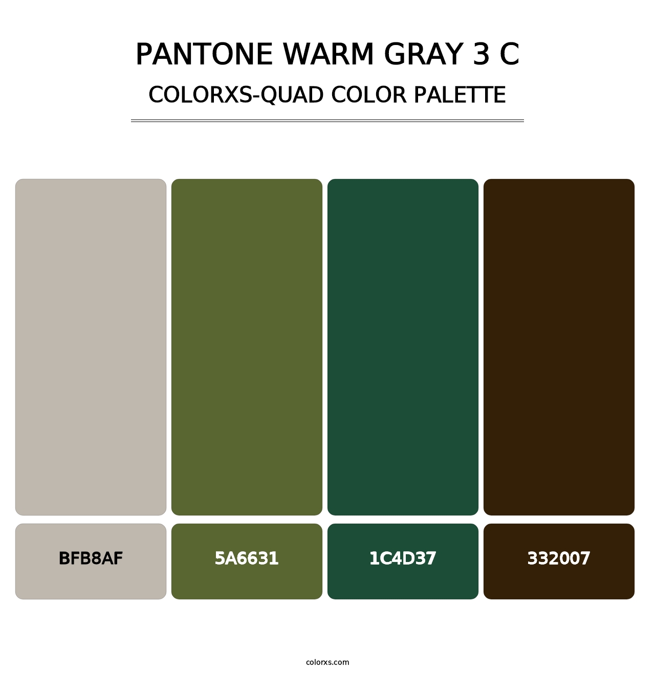 PANTONE Warm Gray 3 C - Colorxs Quad Palette