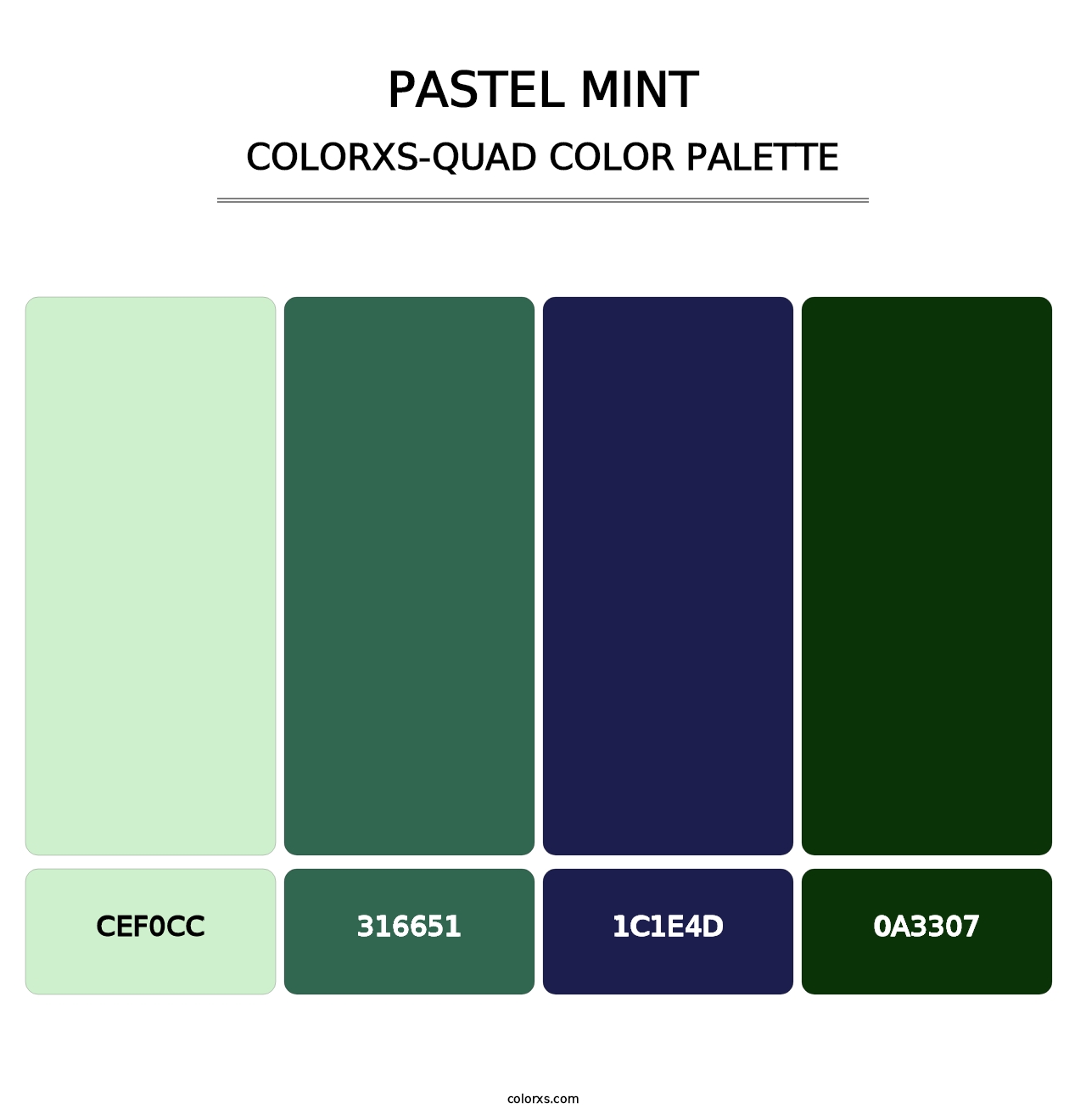 Pastel Mint - Colorxs Quad Palette