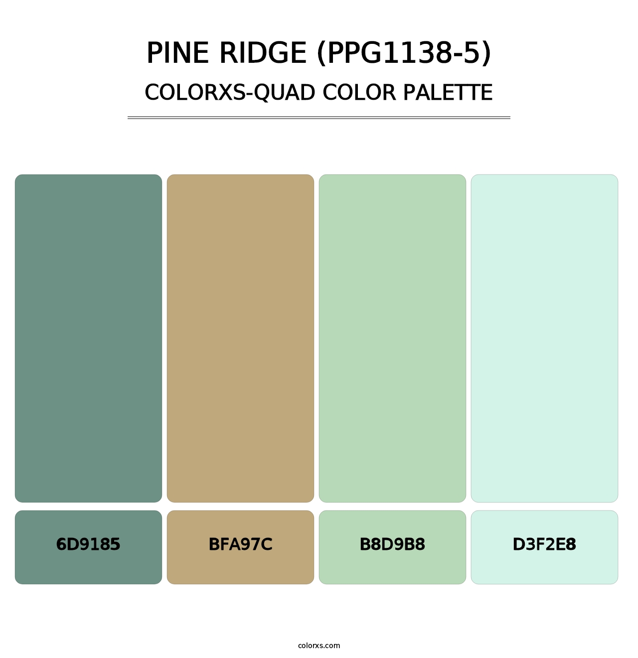 Pine Ridge (PPG1138-5) - Colorxs Quad Palette