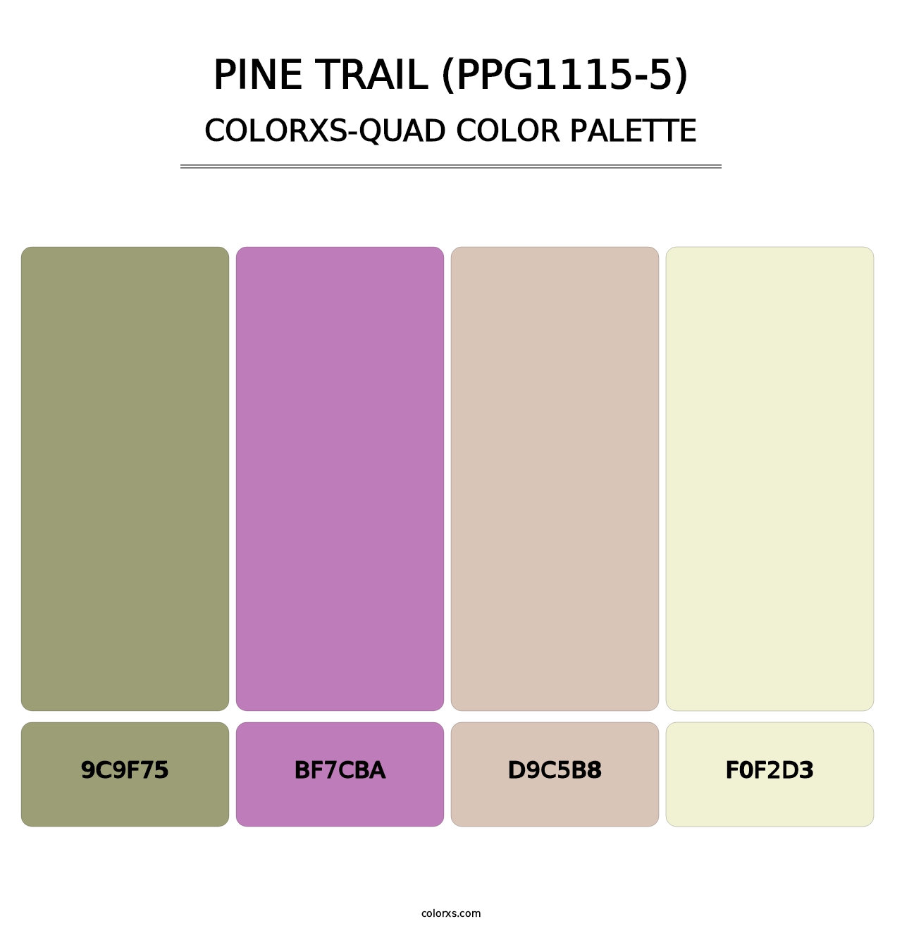 Pine Trail (PPG1115-5) - Colorxs Quad Palette