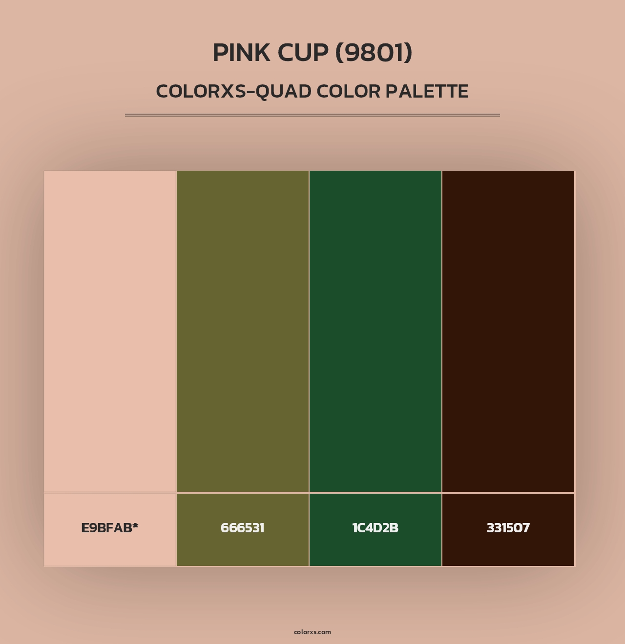 Pink Cup (9801) - Colorxs Quad Palette