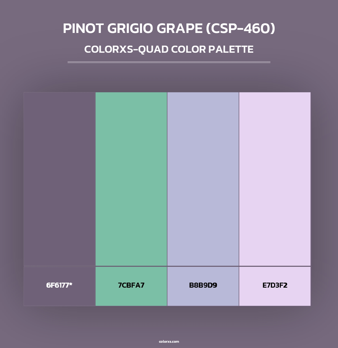 Pinot Grigio Grape (CSP-460) - Colorxs Quad Palette