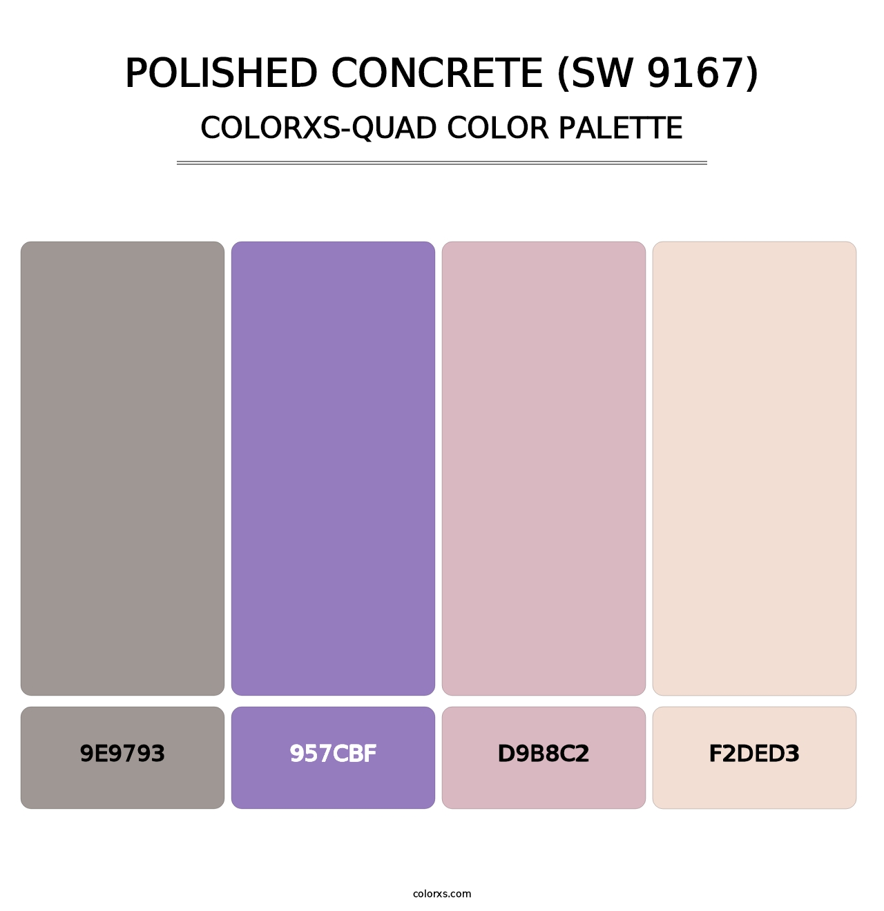 Polished Concrete (SW 9167) - Colorxs Quad Palette