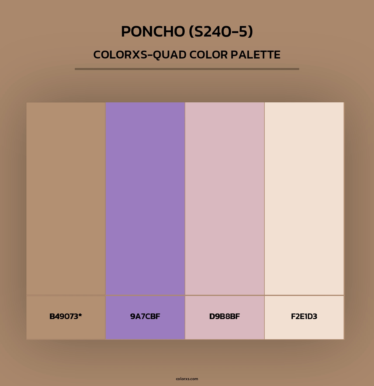 Poncho (S240-5) - Colorxs Quad Palette