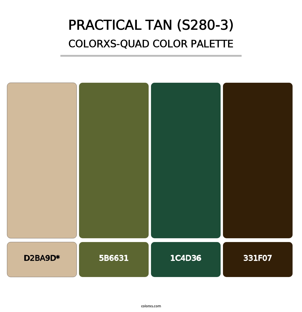 Practical Tan (S280-3) - Colorxs Quad Palette