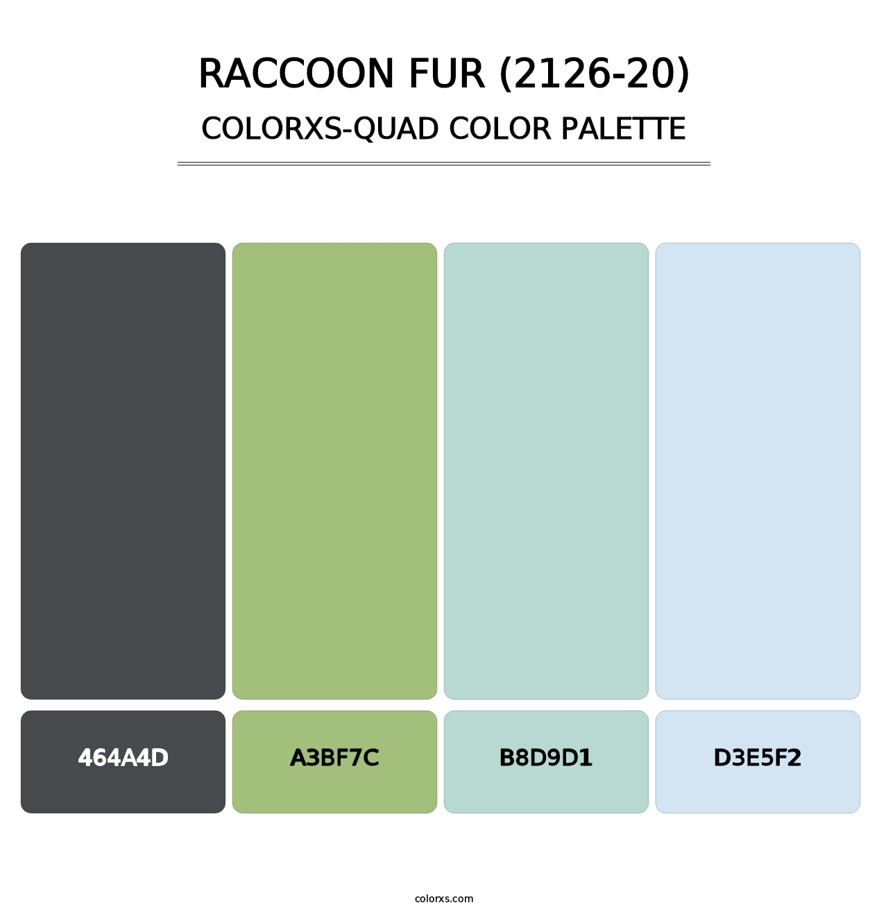 Raccoon Fur (2126-20) - Colorxs Quad Palette