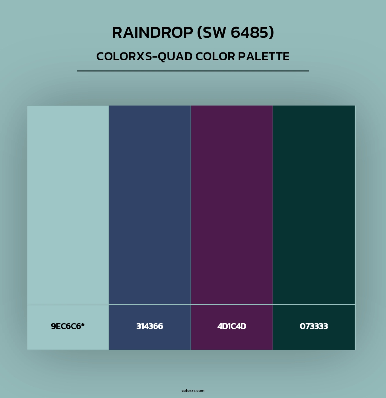 Raindrop (SW 6485) - Colorxs Quad Palette