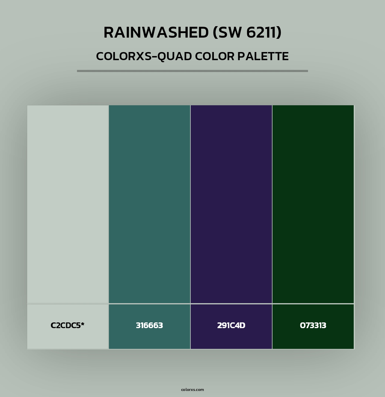 Rainwashed (SW 6211) - Colorxs Quad Palette