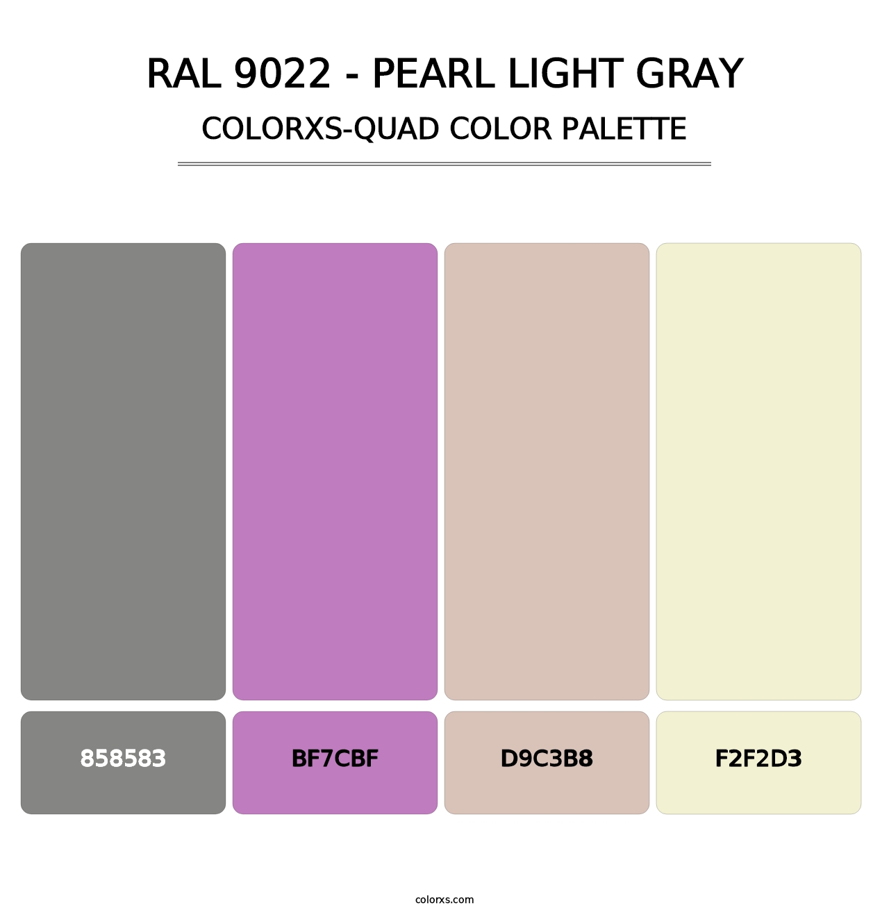 RAL 9022 - Pearl Light Gray - Colorxs Quad Palette