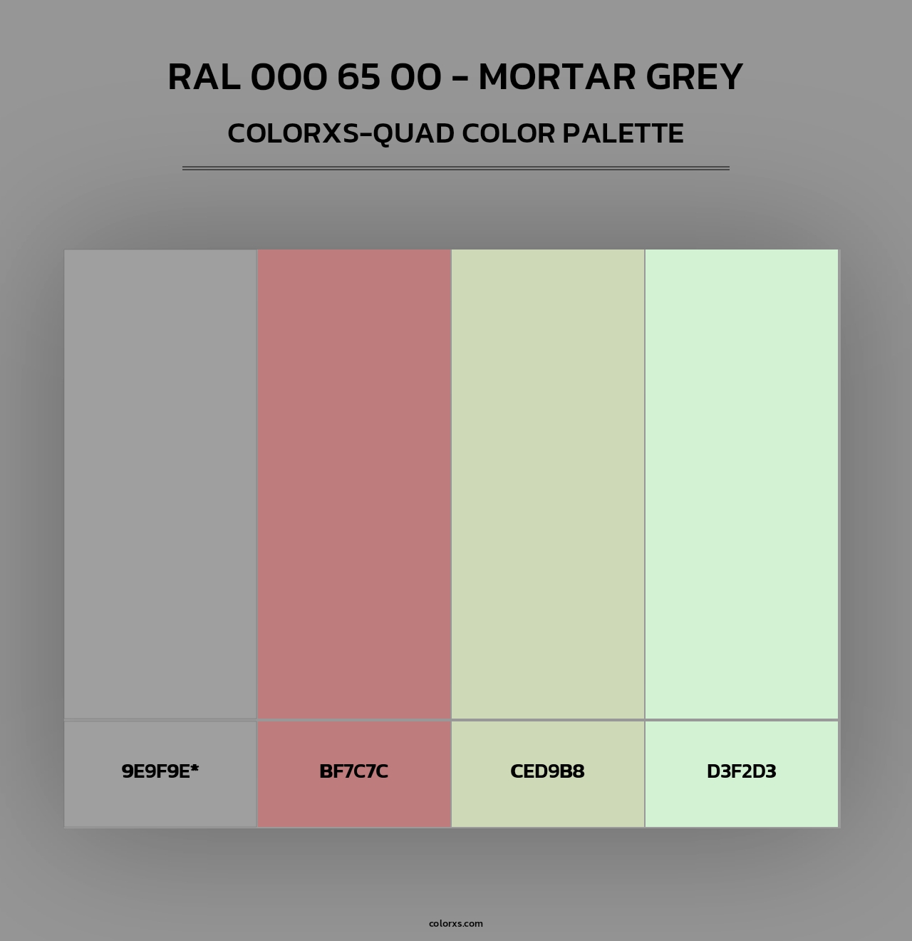 RAL 000 65 00 - Mortar Grey - Colorxs Quad Palette