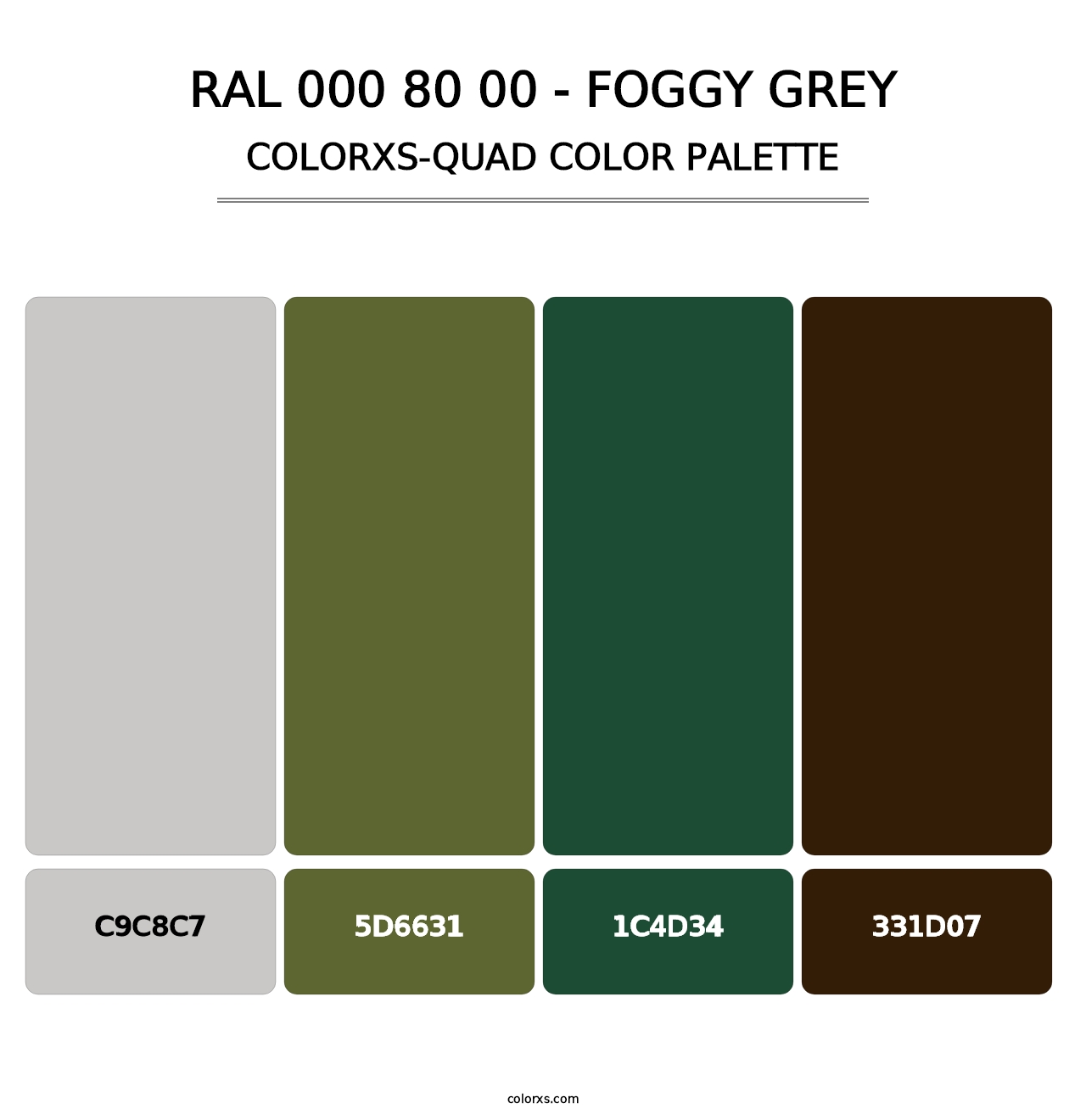 RAL 000 80 00 - Foggy Grey - Colorxs Quad Palette