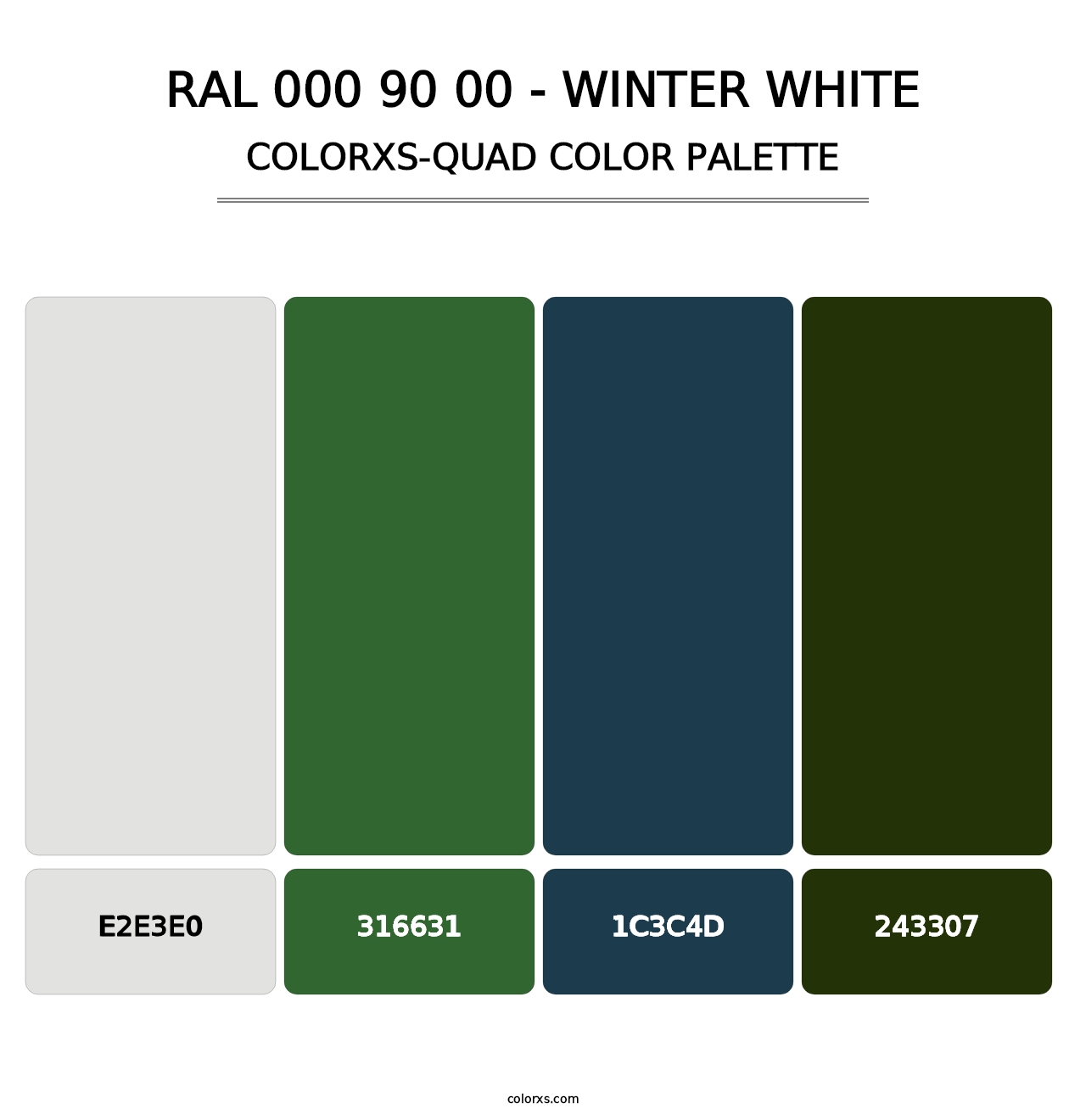 RAL 000 90 00 - Winter White - Colorxs Quad Palette