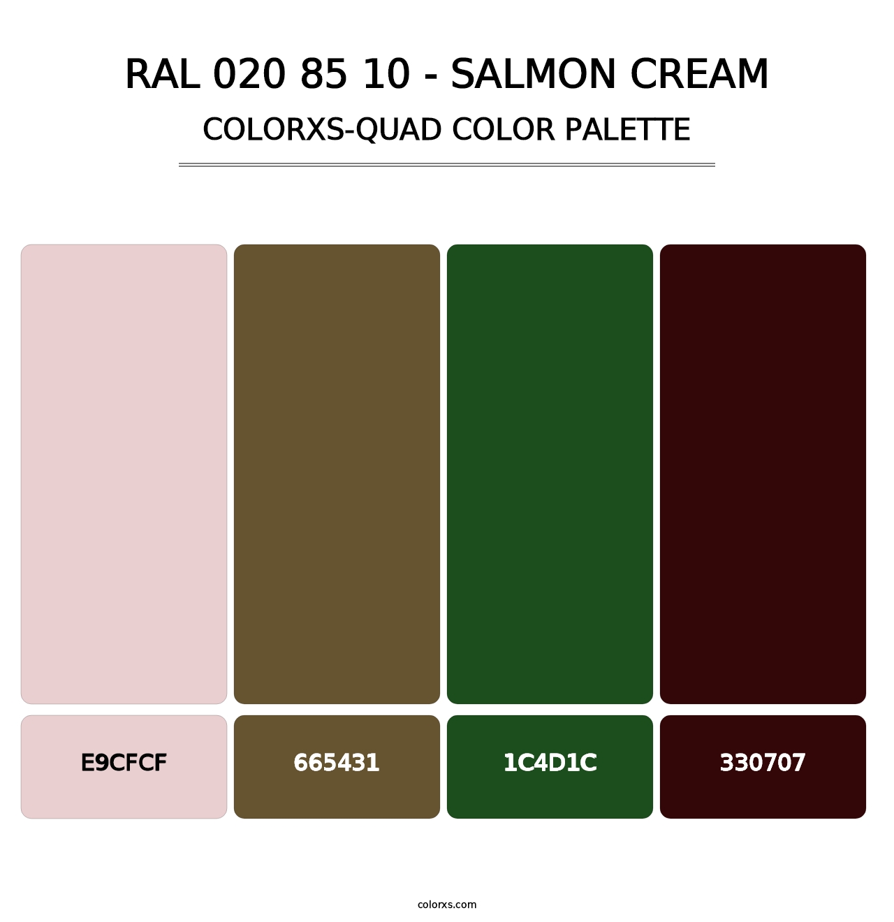 RAL 020 85 10 - Salmon Cream - Colorxs Quad Palette