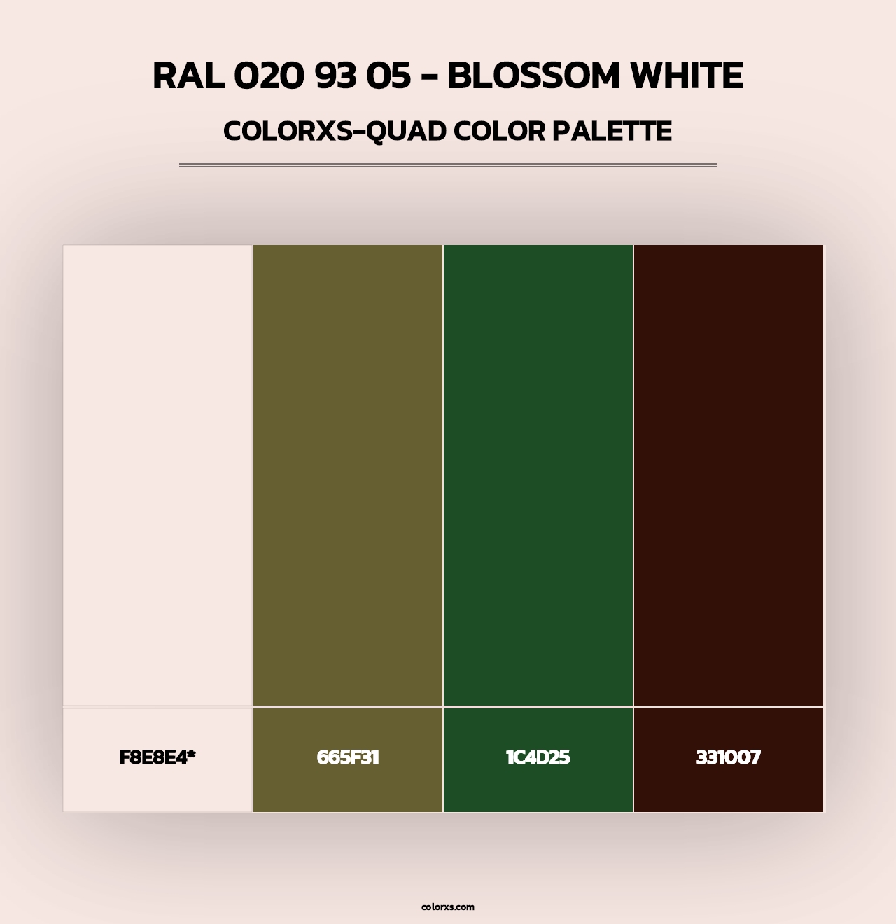 RAL 020 93 05 - Blossom White - Colorxs Quad Palette