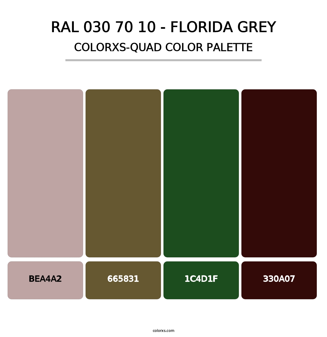 RAL 030 70 10 - Florida Grey - Colorxs Quad Palette