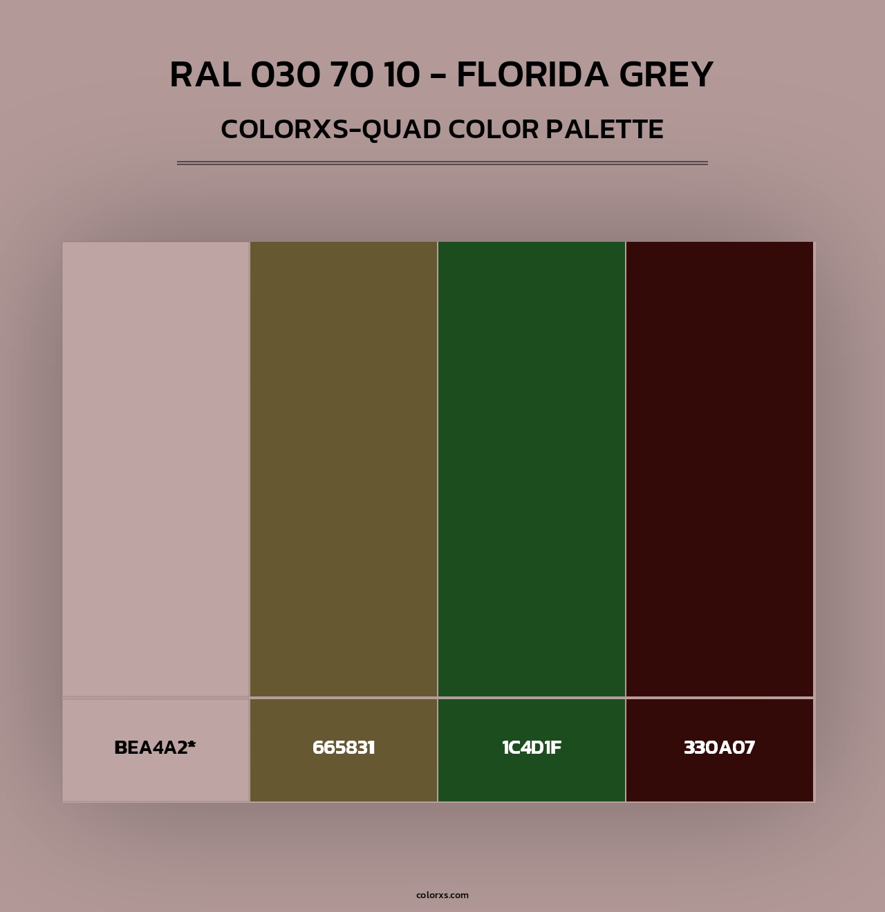 RAL 030 70 10 - Florida Grey - Colorxs Quad Palette